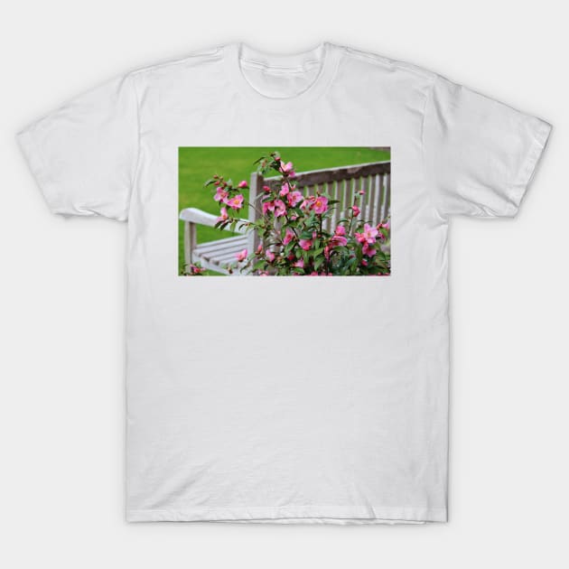 Pink Flowers By The Bench T-Shirt by Cynthia48